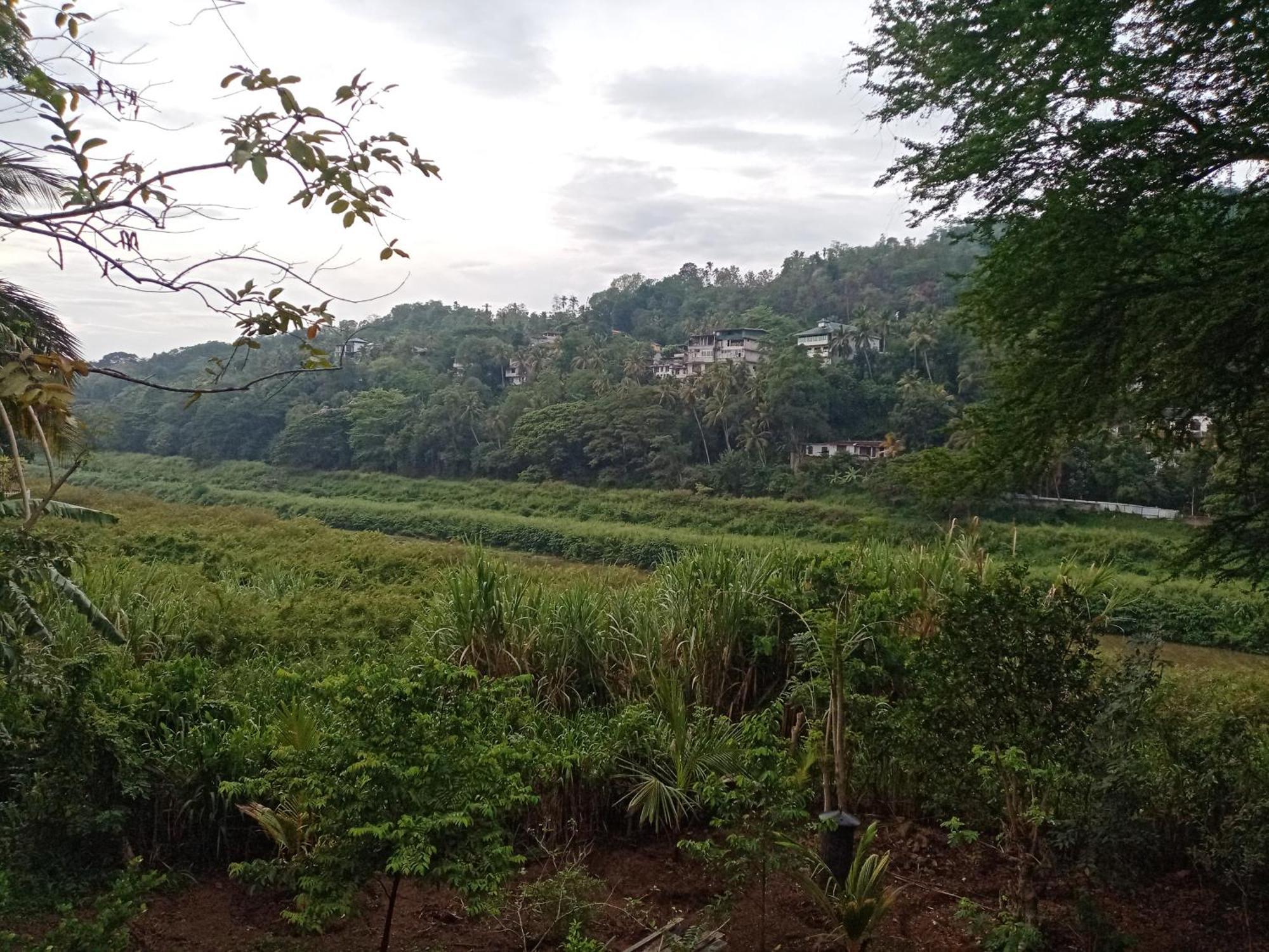 Mahaweli Shades 호텔 캔디 외부 사진