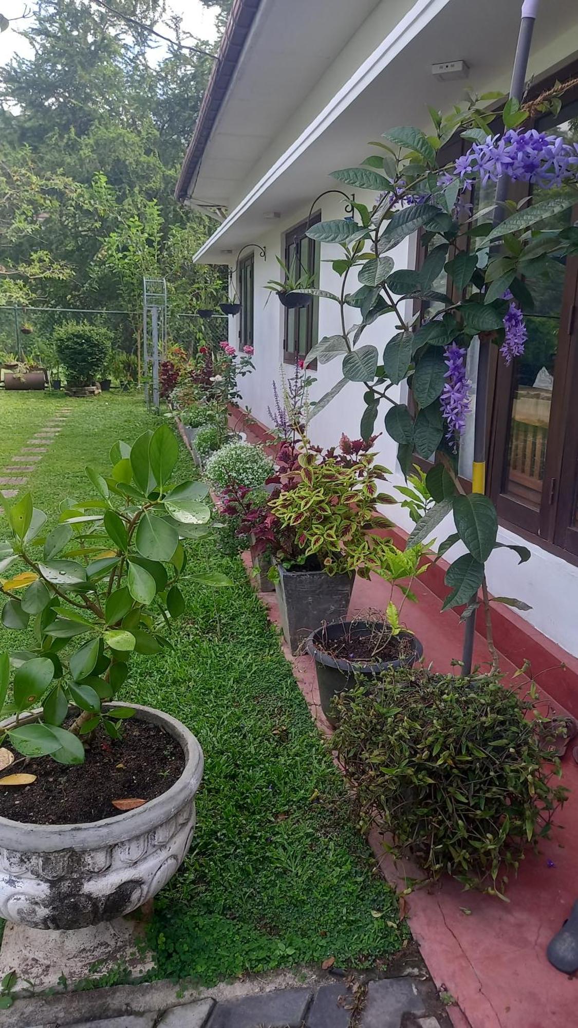 Mahaweli Shades 호텔 캔디 외부 사진