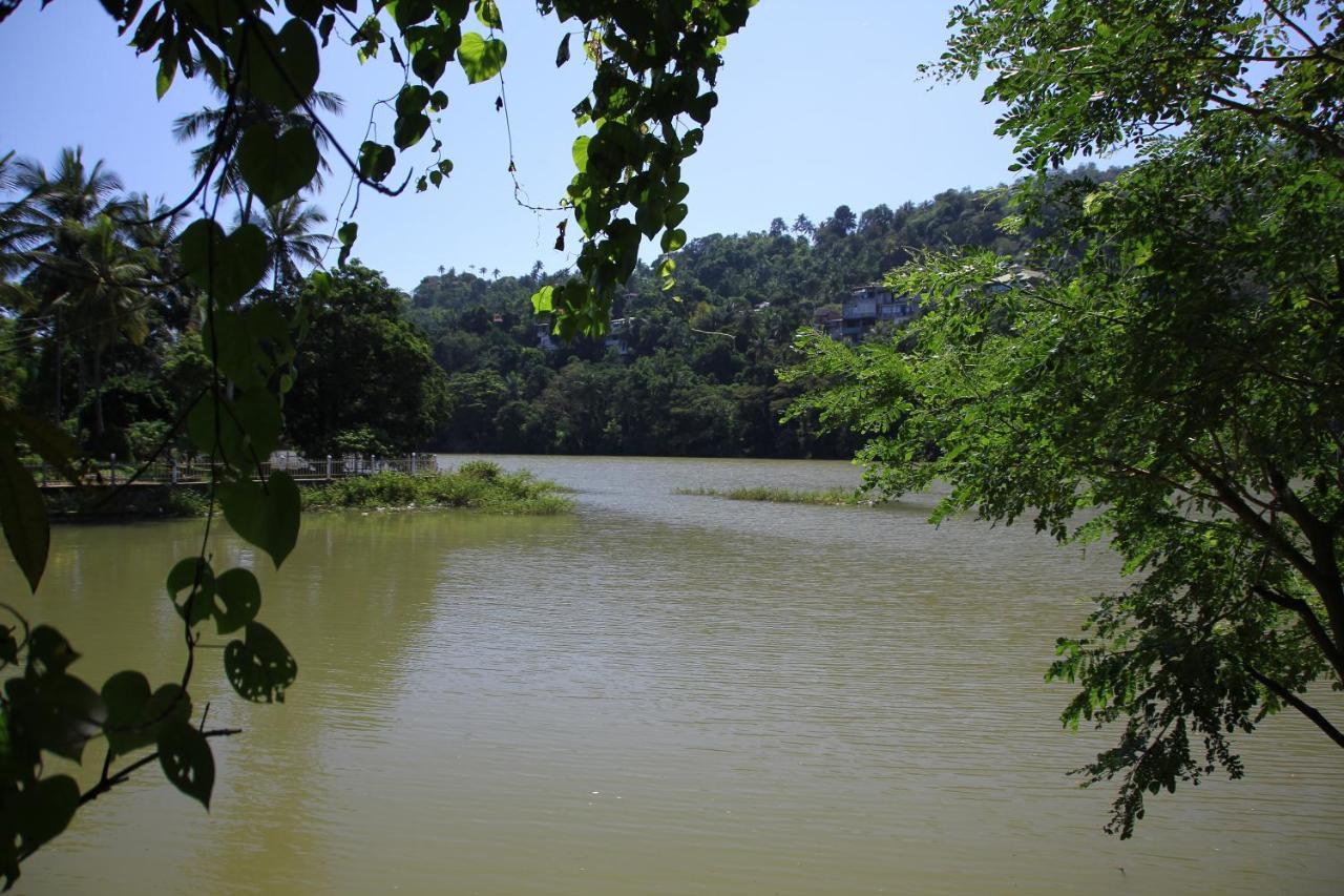 Mahaweli Shades 호텔 캔디 외부 사진
